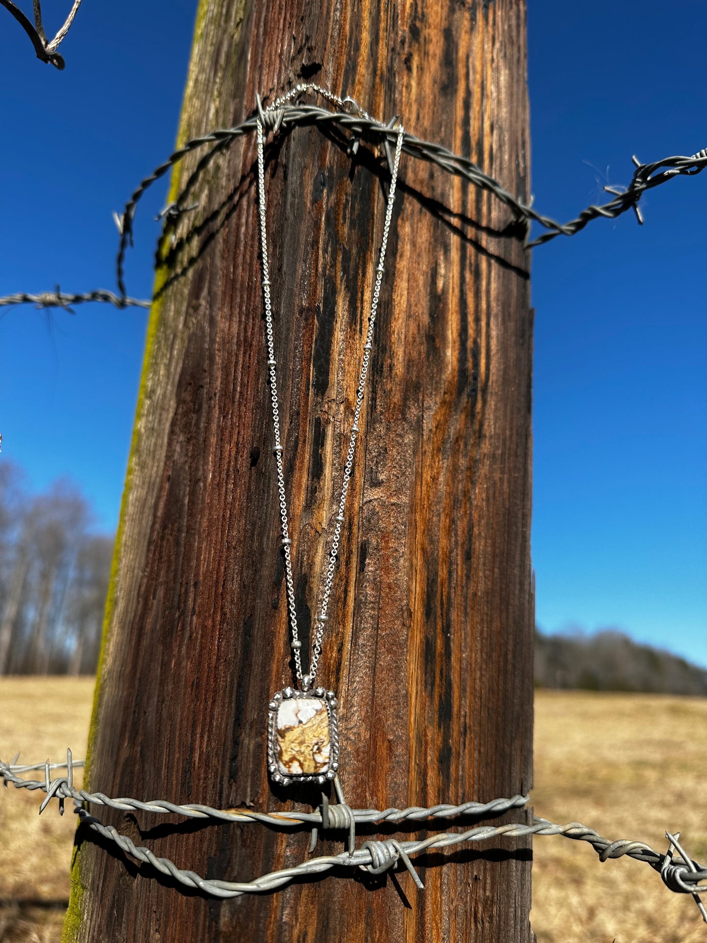 Wild Horse Cab Necklace